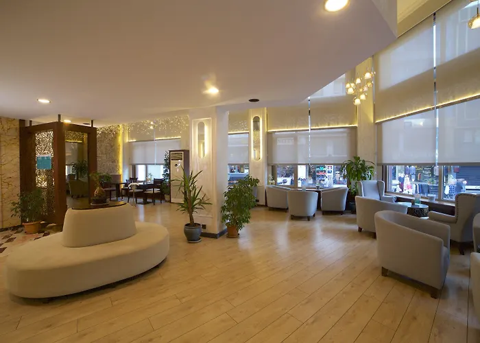 Hotel Barin Estambul