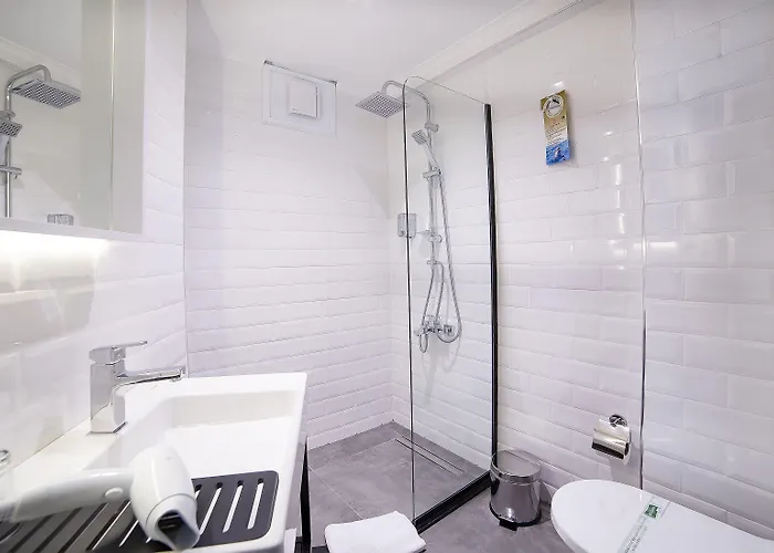 Hotel Barin Estambul